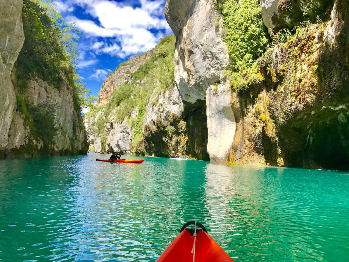 Le gite du grand cèdre - proche des gorges du Verdon Allemagne-en-Provence Extérieur photo